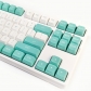 Green White 104+45 CSA Profile PBT Doubleshot Keycap Set Cherry MX Mechanical Gaming Keyboard